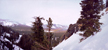 Mammoth